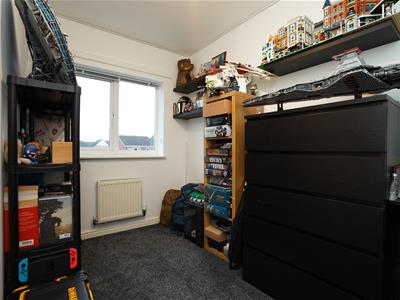Picture 24